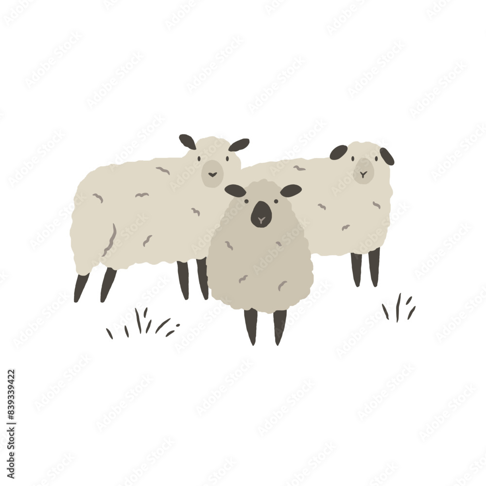 Hand drawn illustration of three cute sheep isolated on white background Hand drawn illustration of three cute sheep isolated on white background