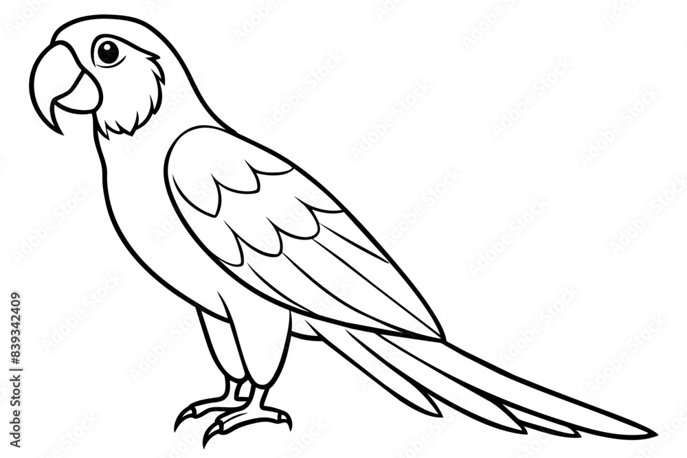 macaw bird line art silhouette vector illustration macaw bird line art silhouette vector illustration