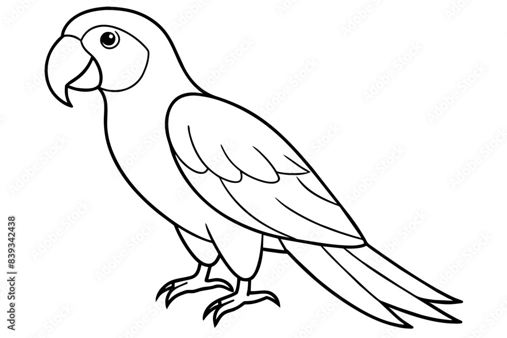 macaw bird line art silhouette vector illustration macaw bird line art silhouette vector illustration
