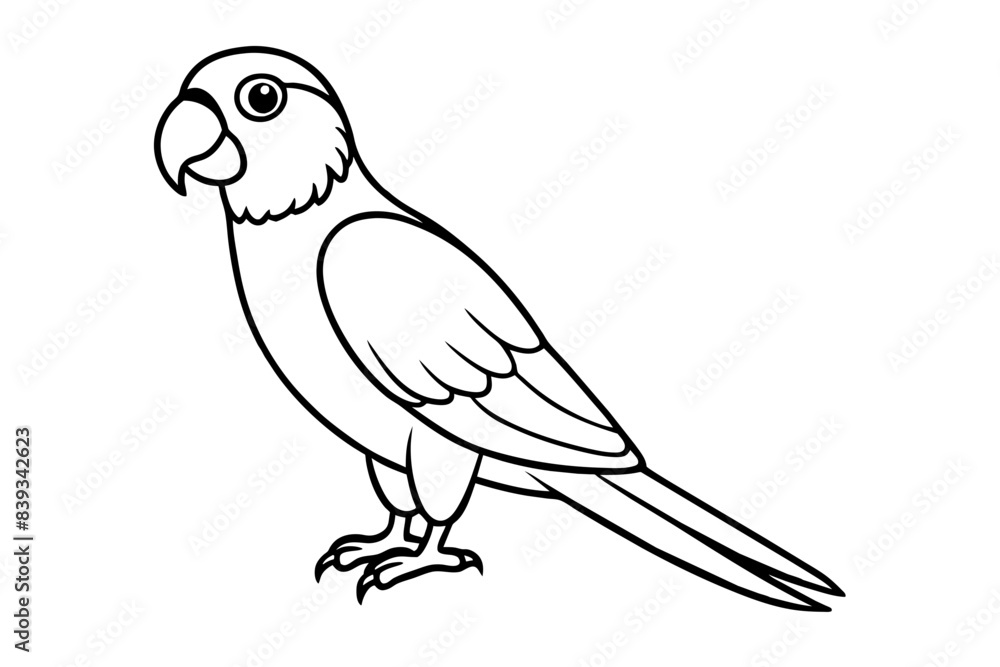 macaw bird line art silhouette vector illustration macaw bird line art silhouette vector illustration