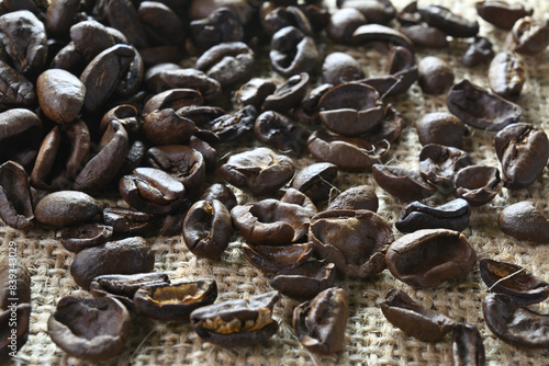 コーヒー豆の欠点豆