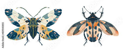 A beautiful fictional beetle with delicate wings, top view. An abstract imaginary  on a white background.