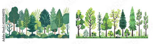 Forest foliage and coniferous plants in row. Mixed wood panorama with stylized fir, poplar trunks and crowns.