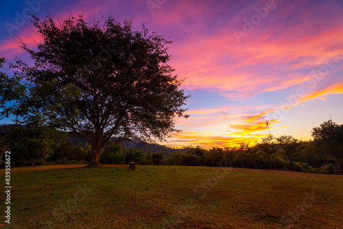 The tree on grass hill field beside is empty bench with beautiful sky during sunset or sunrise, landscape view.
