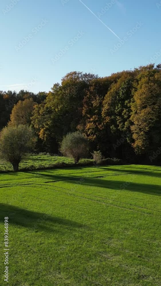 Forest Edge Evening Sunlight left panning long shadows drone aeria Forest Edge Evening Sunlight left panning long shadows drone aeria