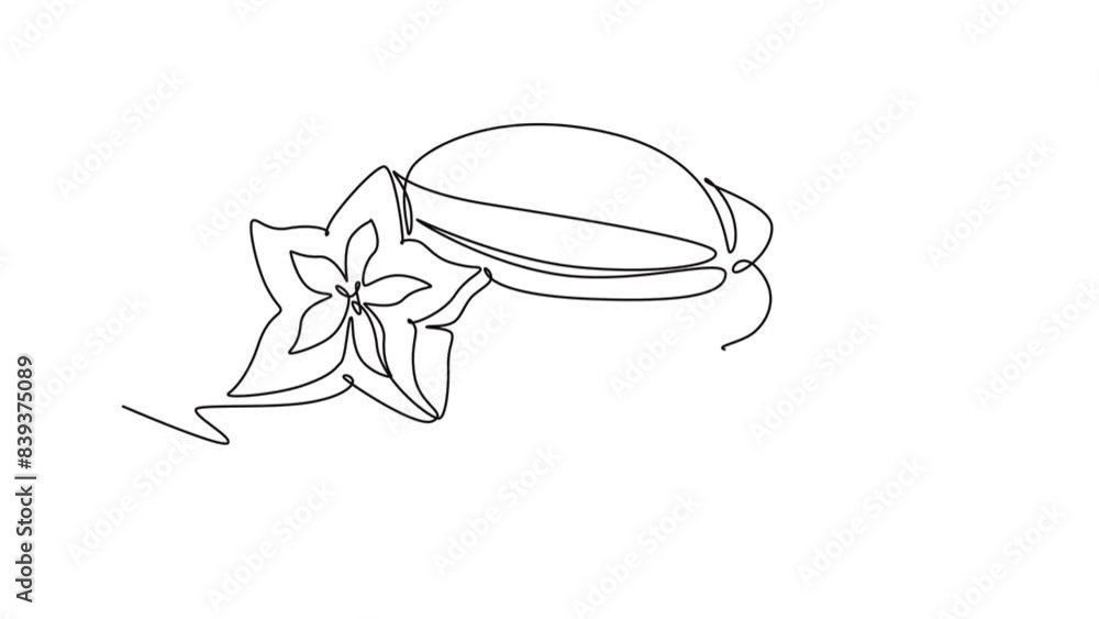 Animated self drawing of continuous line draw whole and sliced healthy organic sweet starfruits for orchard logo identity. Fresh star fruit concept for garden icon. Full length single line animation Animated self drawing of continuous line draw whole and sliced healthy organic sweet starfruits for orchard logo identity. Fresh star fruit concept for garden icon. Full length single line animation