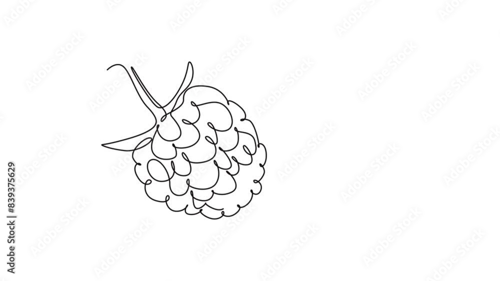 Self drawing animation of single line draw of whole healthy organic ...
