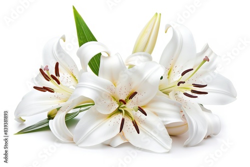 White lily blossoms isolated on a white backdrop. Generative Ai