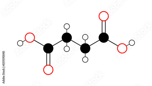 succinic acid molecule, structural chemical formula, ball-and-stick model, isolated image e363 photo