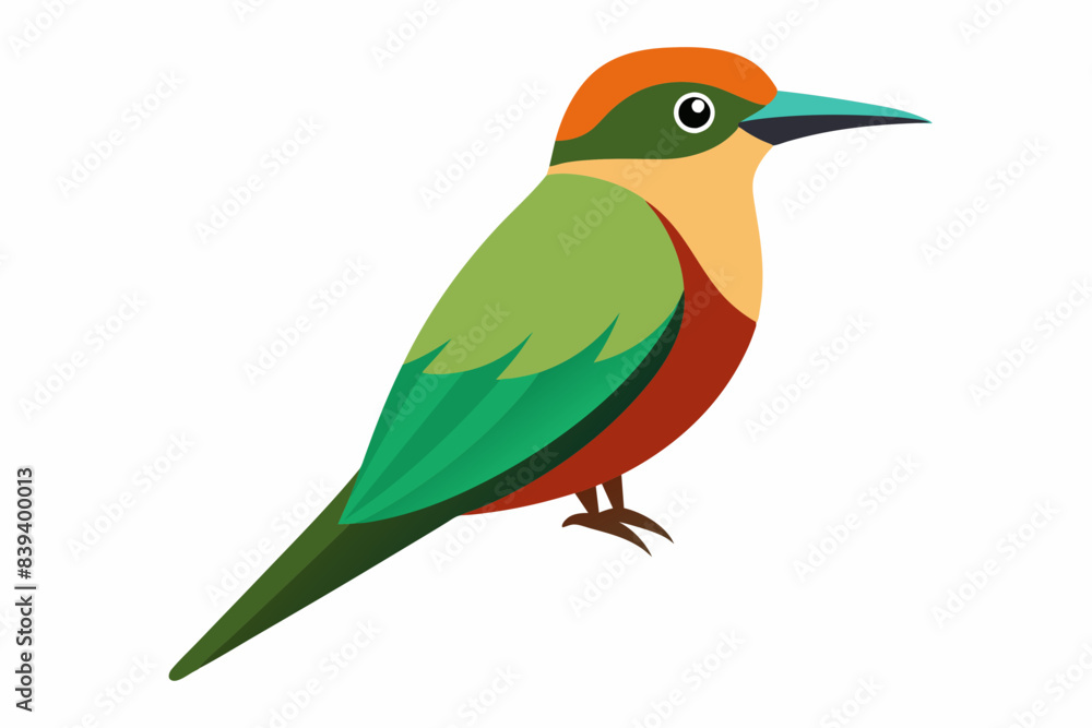 bee eater bird vector illustration bee eater bird vector illustration