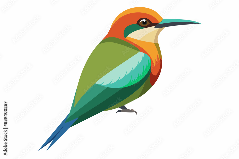 bee eater bird vector illustration bee eater bird vector illustration