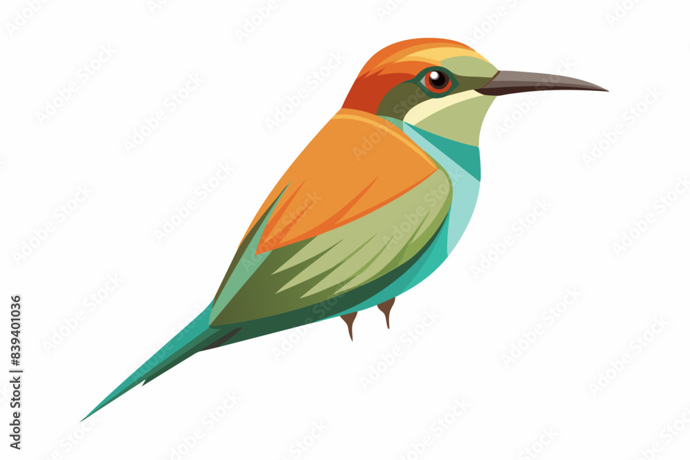 bee eater bird vector illustration bee eater bird vector illustration