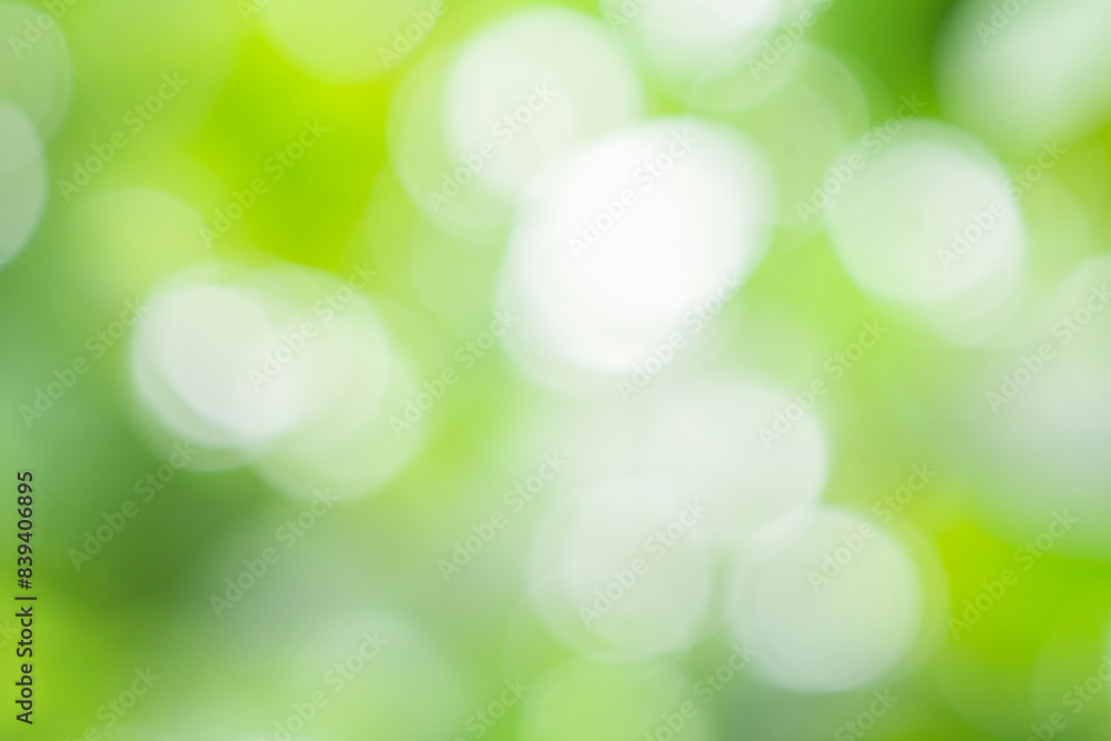 Abstract blur green leaf bokeh nature background Abstract blur green leaf bokeh nature background