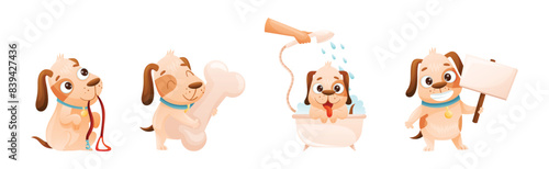 Cute Dog with Collar as Domestic Pet Engaged in Different Activity Vector Set