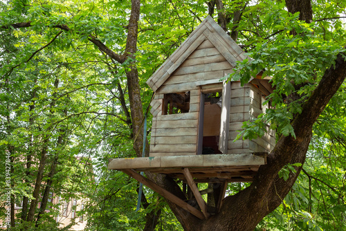 Treehouse perched in backyard tree ,where kids can create their own world, inventing games and adventures.