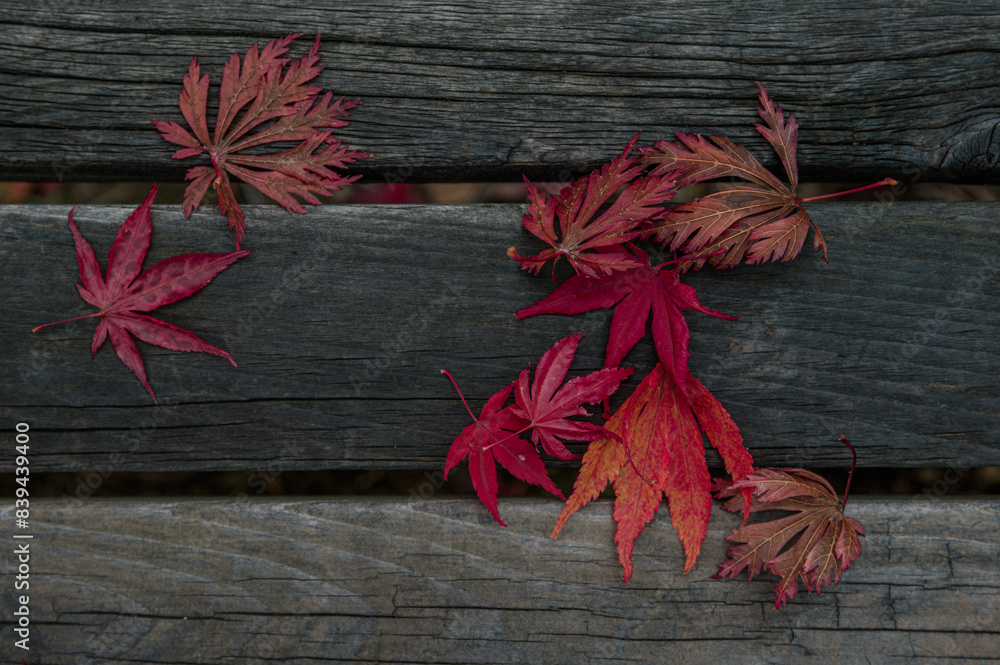 red peppers on wooden background red peppers on wooden background
