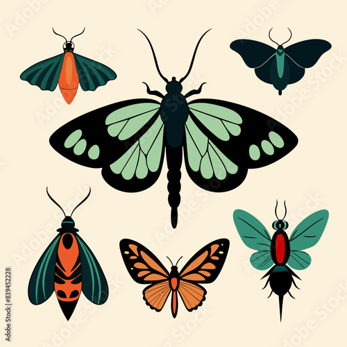Set of butterflies moth lepidopteran insect papillon Vector silhouette