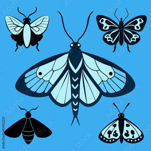 Set of butterflies moth lepidopteran insect papillon Vector silhouette