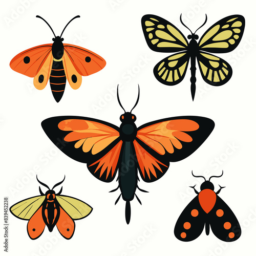 Set of butterflies moth lepidopteran insect papillon Vector silhouette
