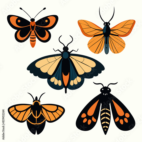 Set of butterflies moth lepidopteran insect papillon Vector silhouette