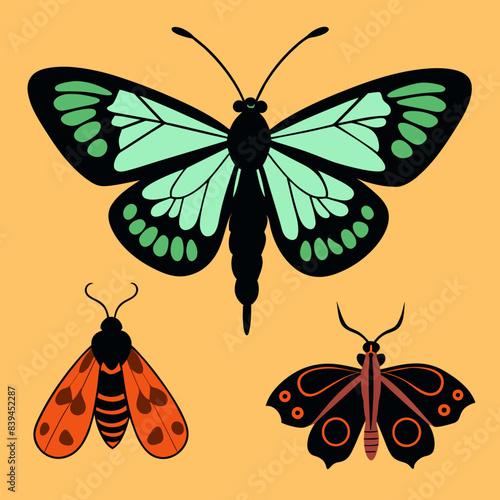 Set of butterflies moth lepidopteran insect papillon Vector silhouette