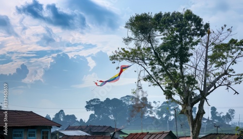 Caught in the Canopy: Kite mishap in Tulungagung, East Java Indonesia photo