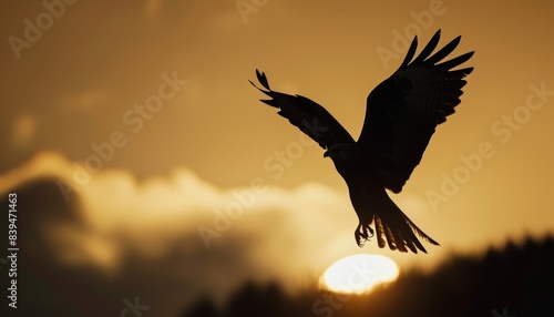 Wallpaper Mural Graceful Red Kite Soars at Dusk: A Majestic Sight Unfolds in Welsh Skies Torontodigital.ca