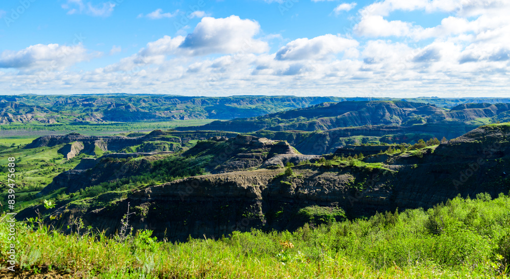 Fototapeta premium Lush greenery adorns the rugged terrain of a sprawling canyon under a vivid blue sky