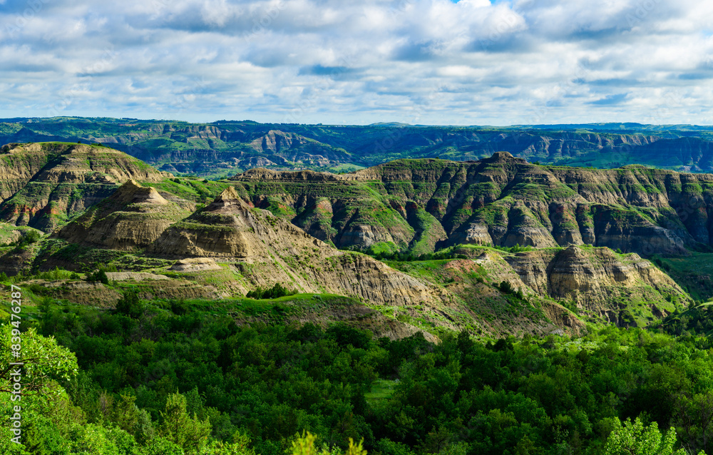 Lush greenery adorns the rugged terrain of a sprawling canyon under a vivid blue sky Lush greenery adorns the rugged terrain of a sprawling canyon under a vivid blue sky
