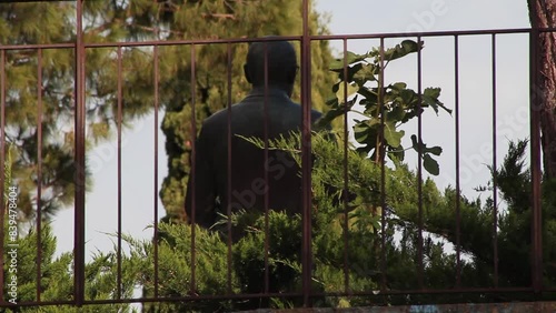 statue behind a fence in a park