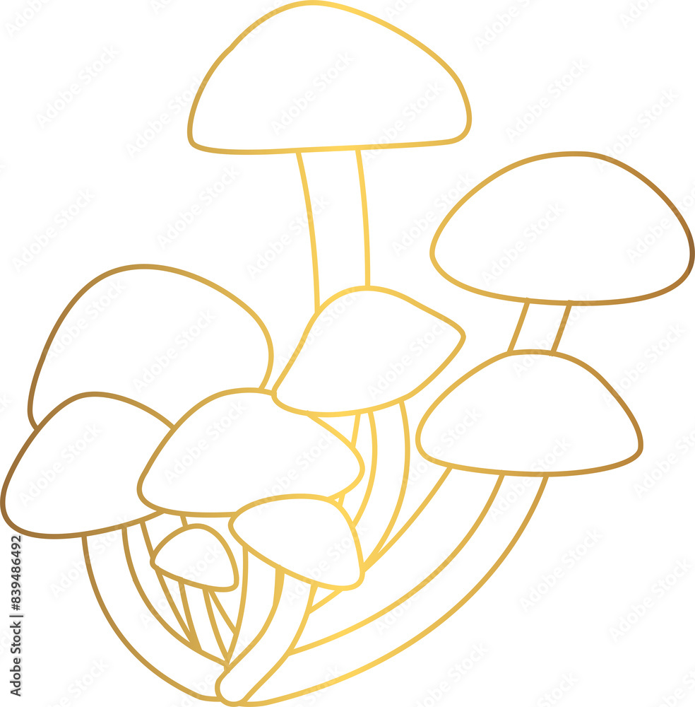 Honey mushrooms grow in the forest in autumn. Honey mushrooms grow in the forest in autumn.