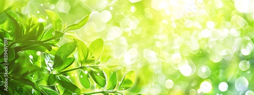 Bright and Cheerful Spring or Summer Background with Green Foliage