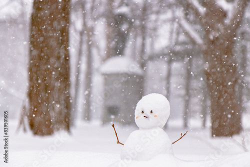 little snowman in the snow