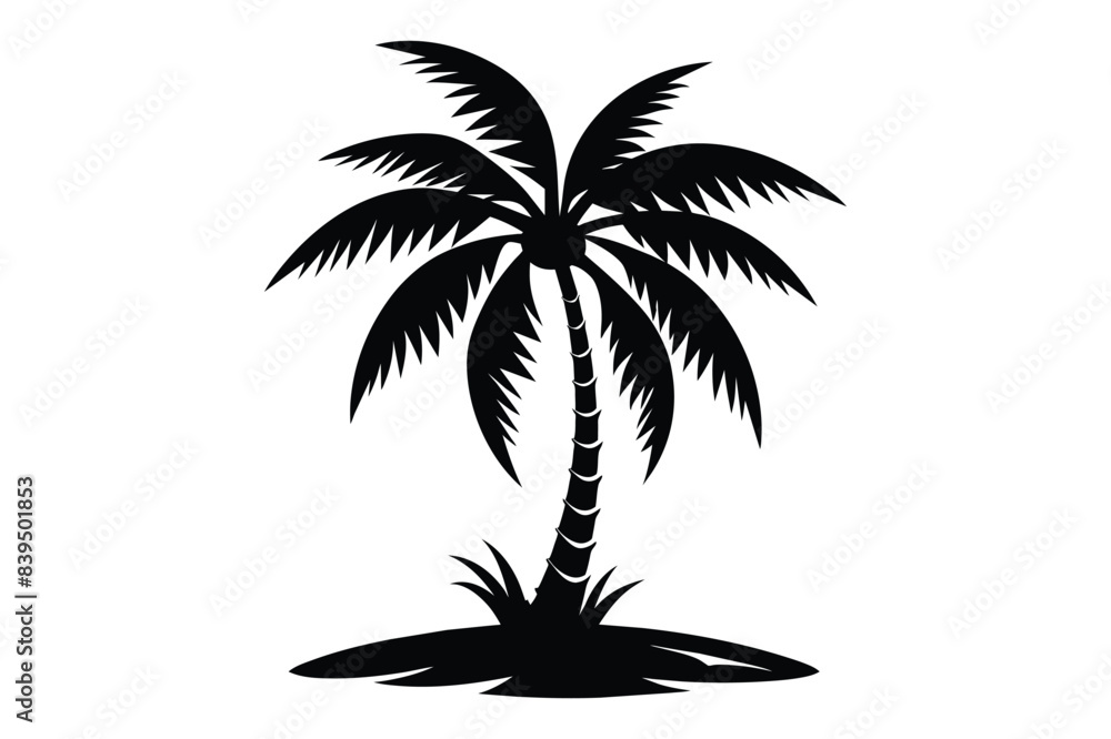 palm tree silhouette palm tree silhouette