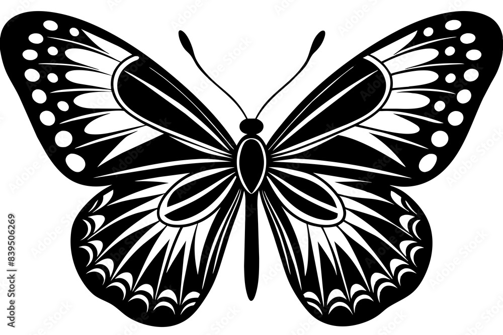 butterfly silhouette vector illustration butterfly silhouette vector illustration