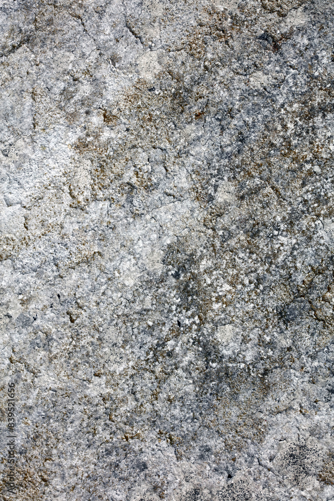 Retro white old damaged cracked wall surface macro background fine modern art high quality instant prints products fifty megapixels Retro white old damaged cracked wall surface macro background fine modern art high quality instant prints products fifty megapixels