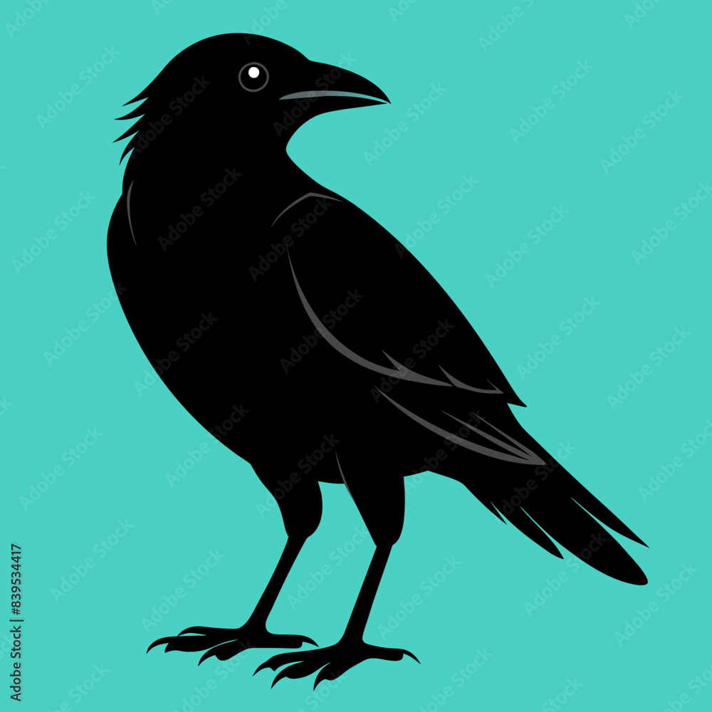 Fototapeta premium raven on a branch