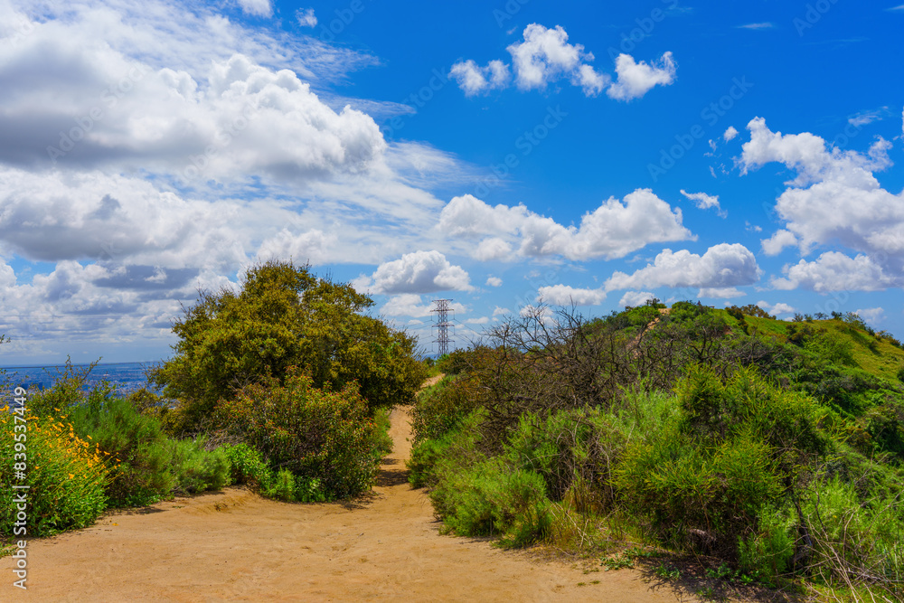 Hiking Landscape in Runyon Canyon Hiking Landscape in Runyon Canyon