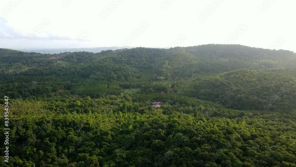 India forest Arial view Drone shoot 4K Resolution India forest Arial view Drone shoot 4K Resolution