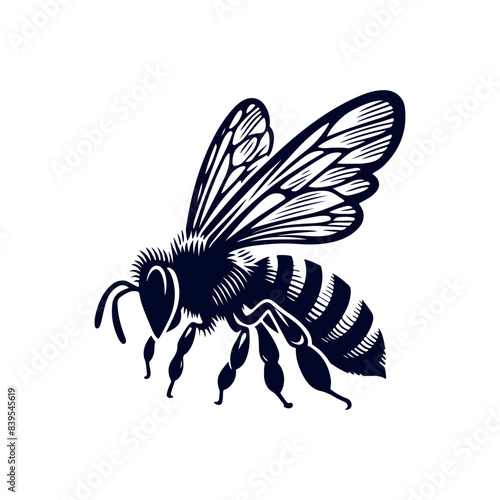 Honey bee silhouette Clip art isolated vector illustration on a white background