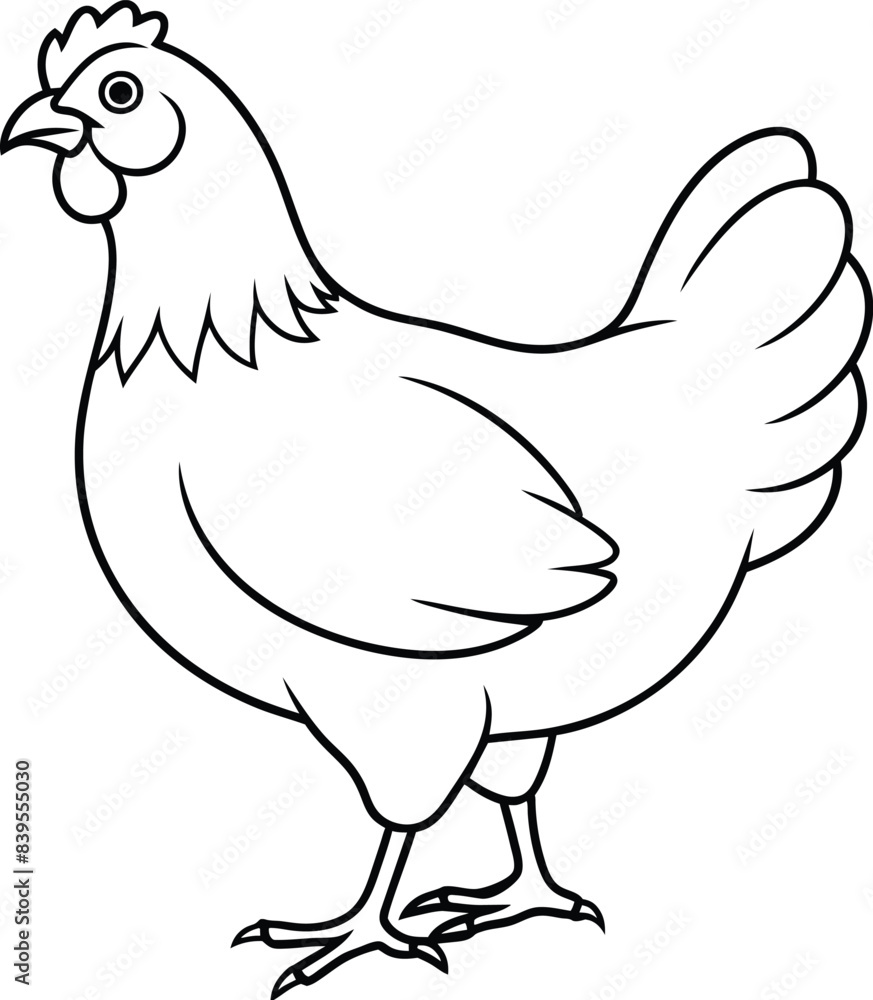 Obraz premium chicken line art