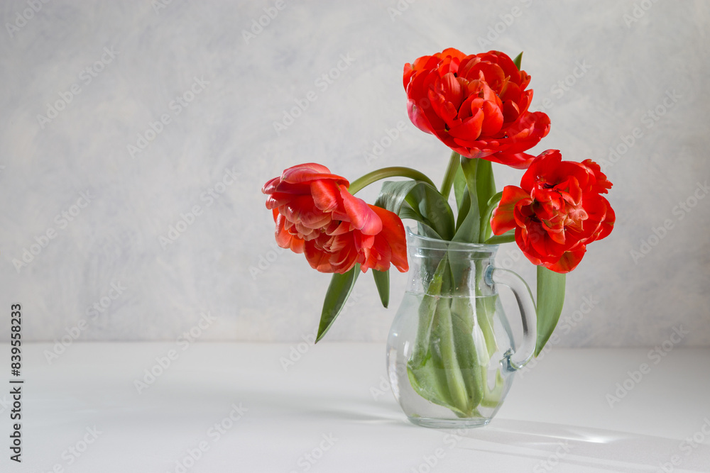 A bouquet of red tulips in a glass vase on a light background. Copy space A bouquet of red tulips in a glass vase on a light background. Copy space