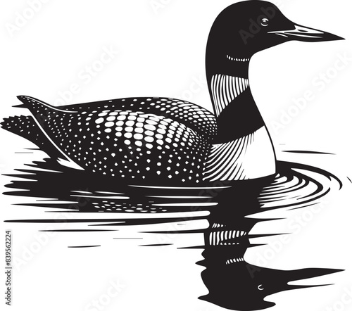 loon silhouette vector illustration, Loon silhouette vector art illustration with white background
