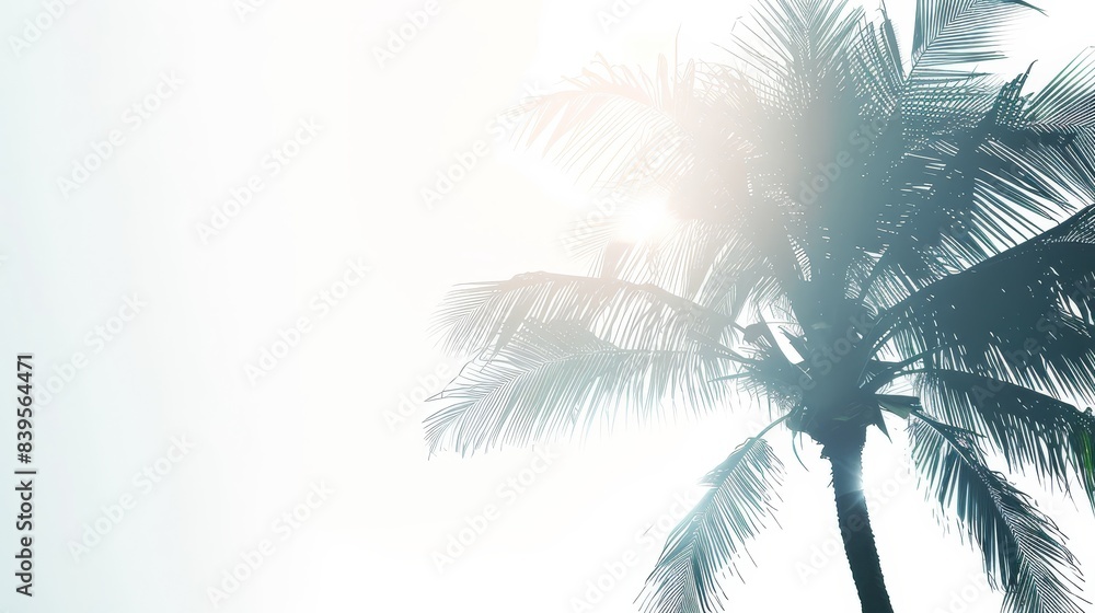 Fototapeta premium Delicate palm tree silhouette pristine white background close up ethereal overlay tropical theme