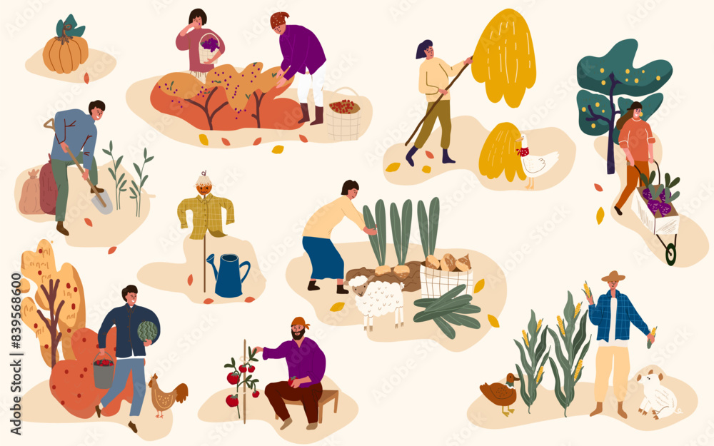 Fototapeta premium Autumn season harvest gathering flat vector illustration. Farmers working in field, stacking hay. Fruits and vegetables crop collecting.