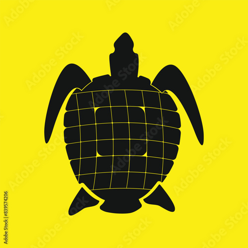 Turtle marine animal  vector illustration.