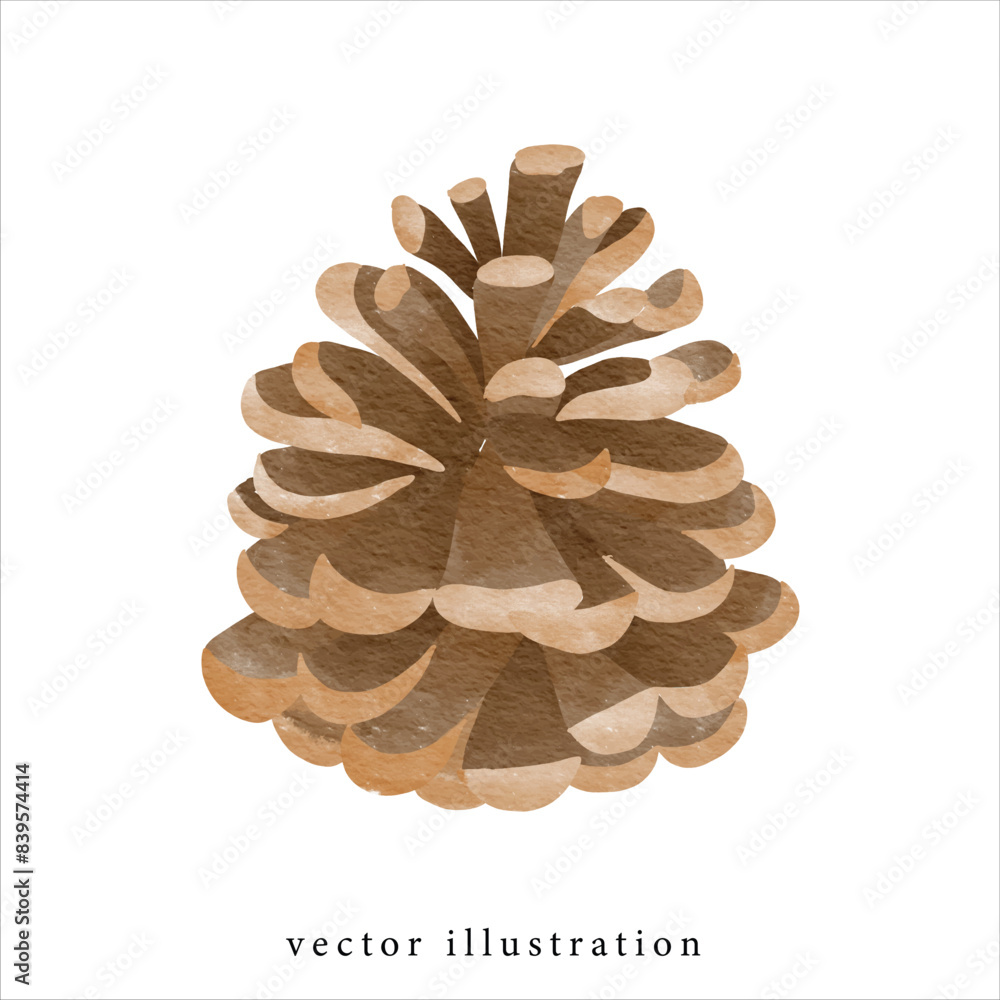 watercolor of Pine cones , Christmas party and card decoration clipart , illustration watercolor of Pine cones , Christmas party and card decoration clipart , illustration