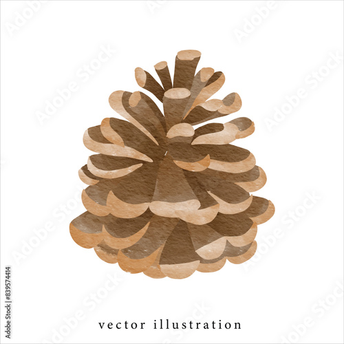 watercolor of Pine cones , Christmas party and card decoration clipart , illustration