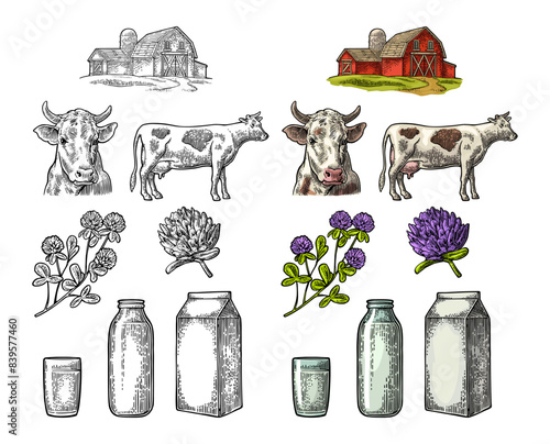 Set Milk farm. Cow head, clover, box carton package, glass and bottle.