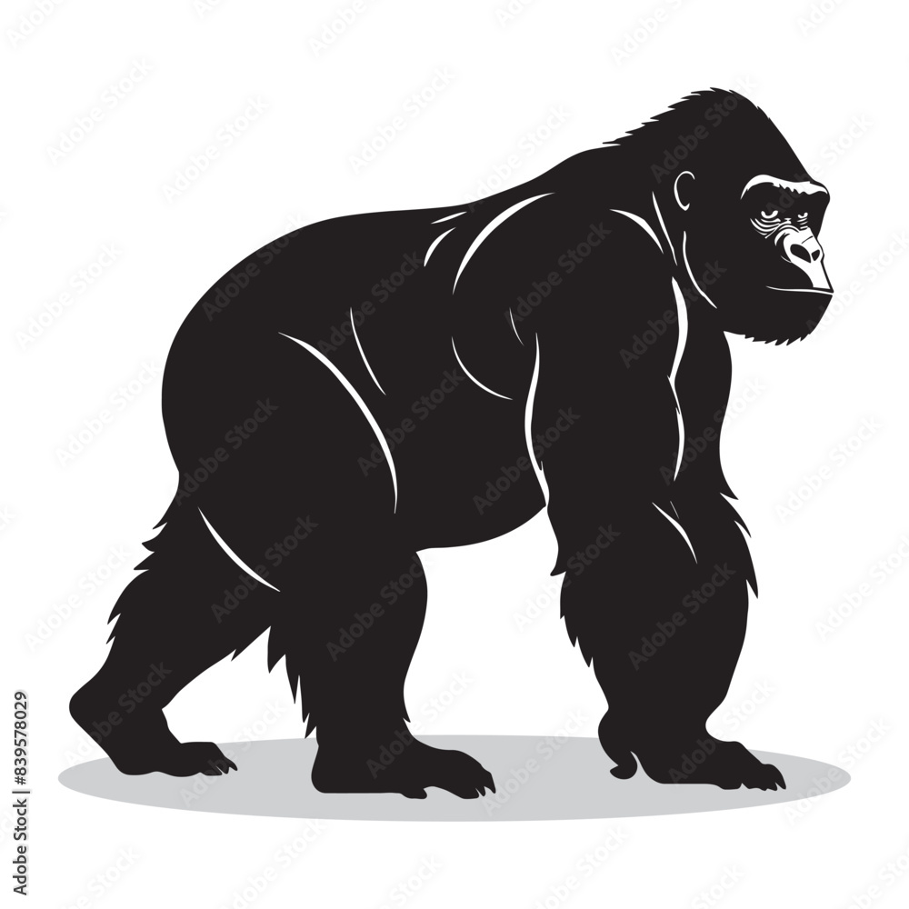 Fototapeta premium Gorilla silhouettes and icons. black flat color simple elegant white background Gorilla animal vector and illustration.